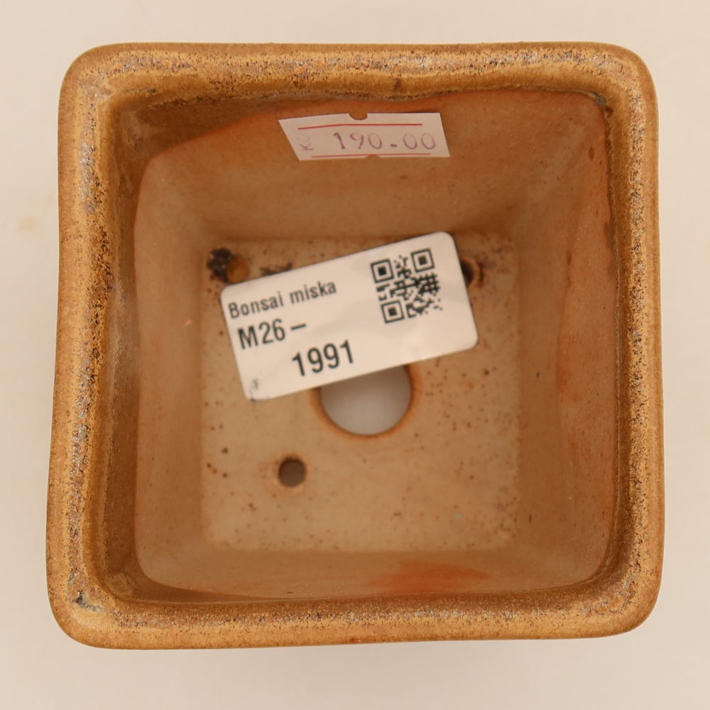 Vaso da bonsai in ceramica 7,5 x 7,5 x 6,5 cm, colore beige