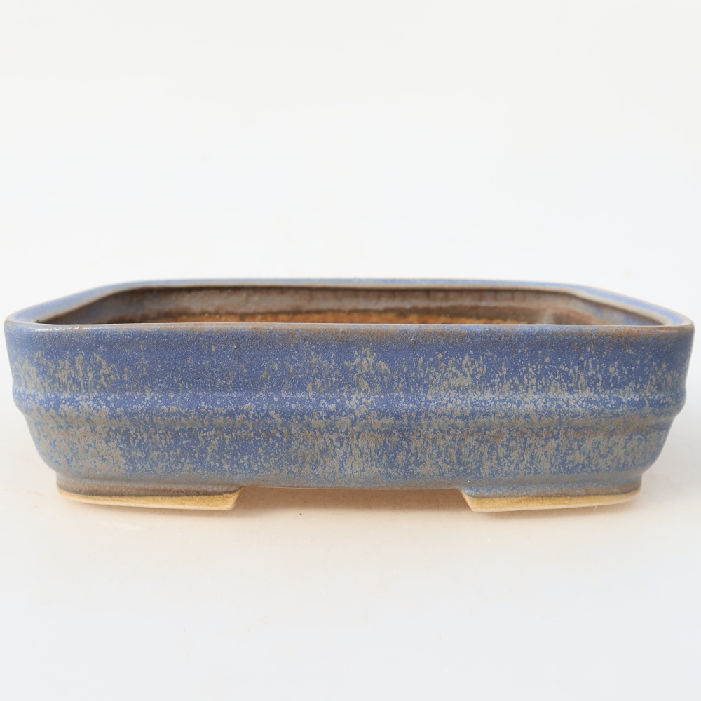 Vaso in ceramica per bonsai 17 x 13,5 x 4,5 cm, colore blu