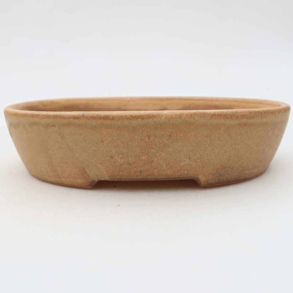 Ciotola bonsai in ceramica 17 x 14 x 4 cm, colore beige