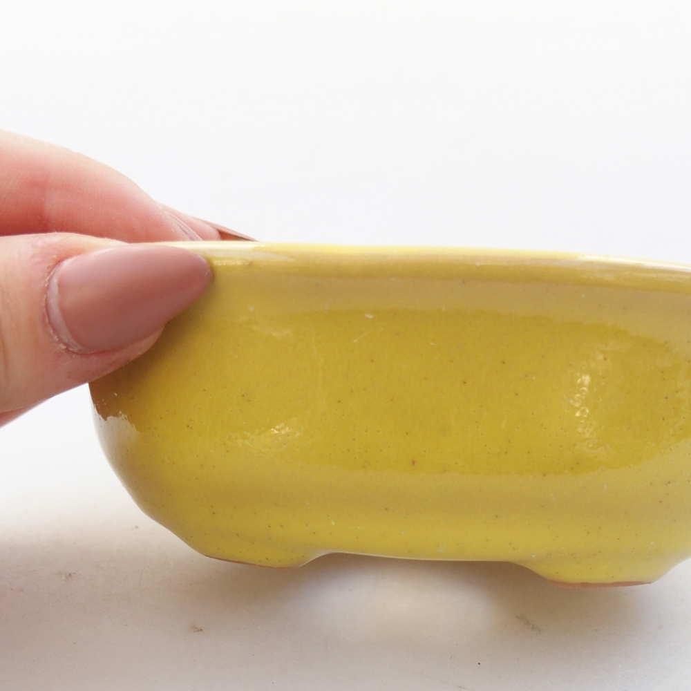 Ciotola bonsai in ceramica 26 x 26 x 8 cm, colore rosso