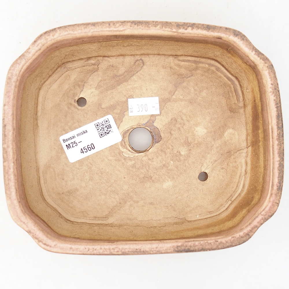 Ciotola bonsai in ceramica 17 x 14,5 x 5 cm, rosa