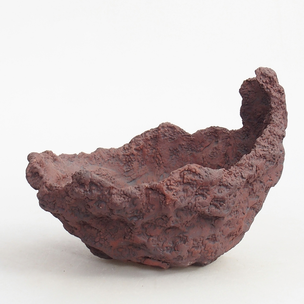 Conchiglia in ceramica 13 x 11 x 12 cm , colore marrone