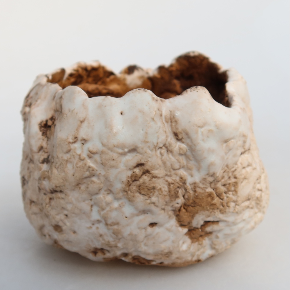 Guscio in ceramica  7 x 7 x 6 cm, colore bianco-marrone