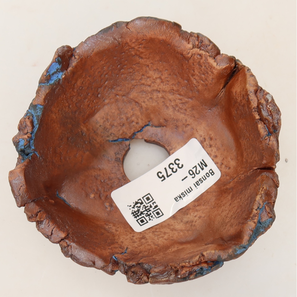 Guscio in ceramica 9 x 9 x 4 cm, colore blu