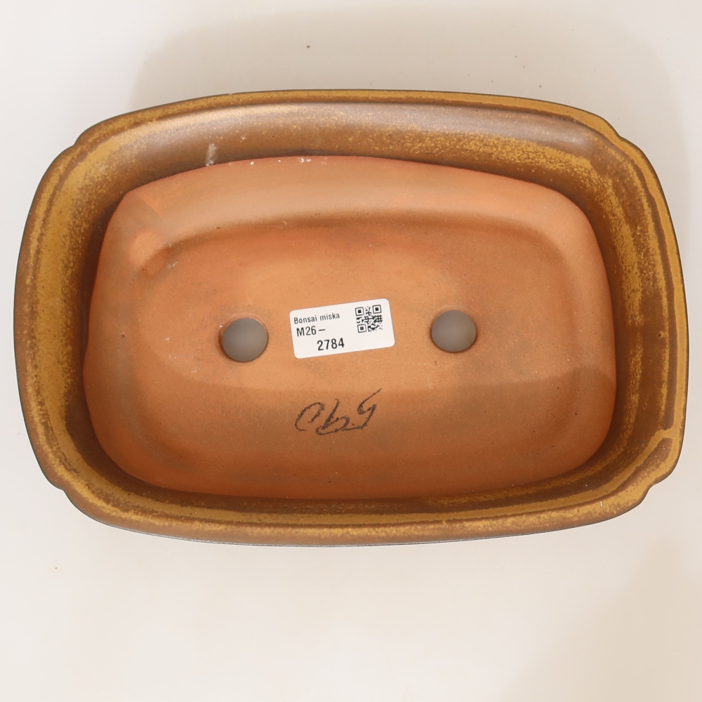 Ciotola in ceramica  24 x 17 x 6 cm, colore giallo