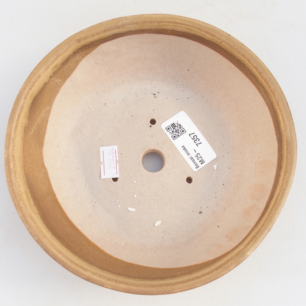 Ciotola per bonsai in ceramica 17,5 x 17,5 x 5 cm, colore beige