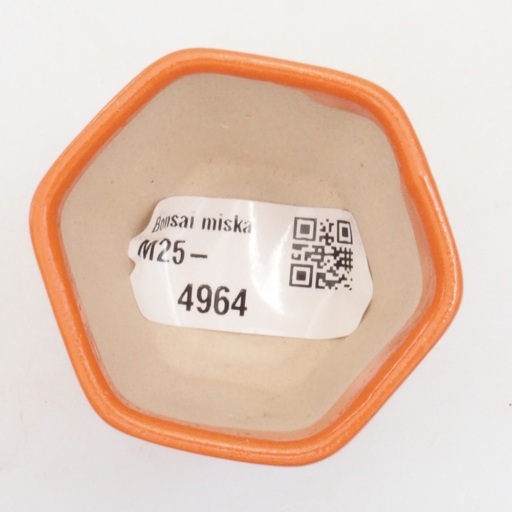 Ciotola per mini bonsai 5 x 5 x 5 cm, arancione
