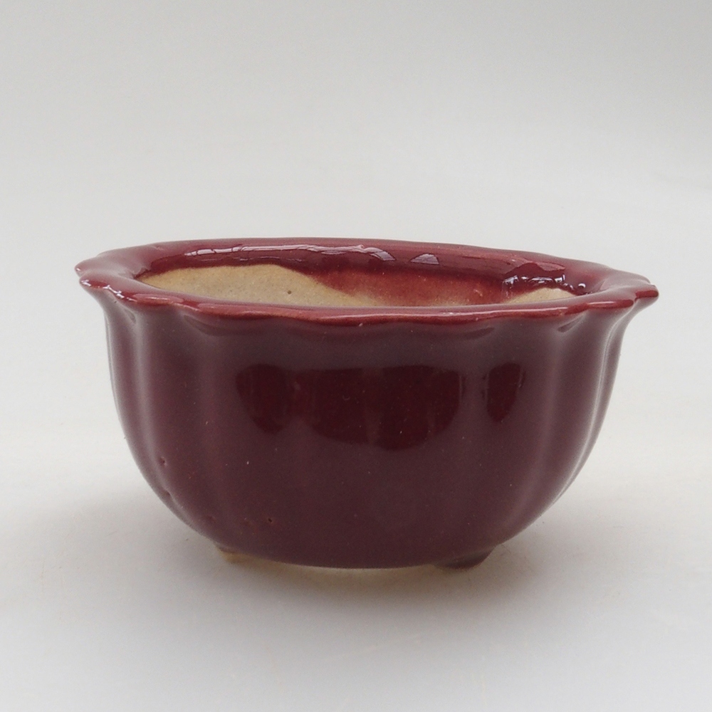 Ciotola per mini bonsai 6,5 x 6,5 x 3,5 cm, bordeaux