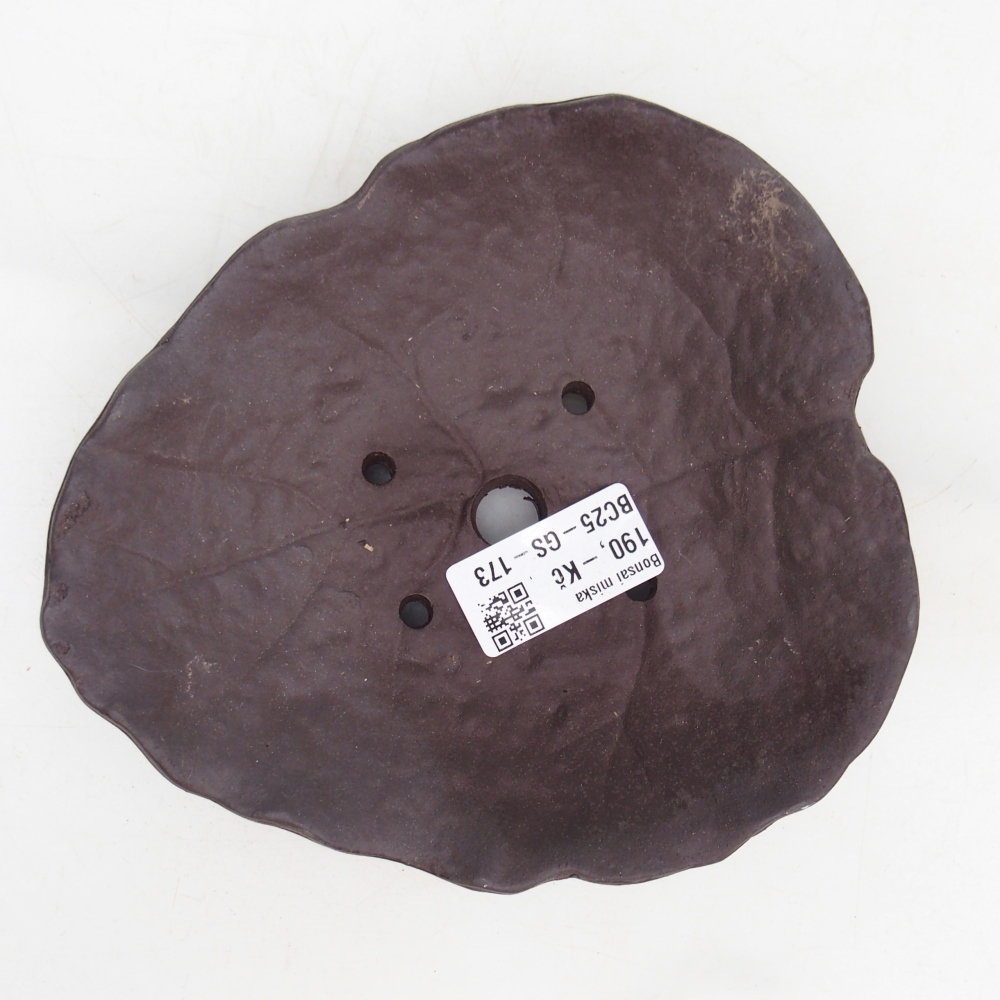 Conchiglia in ceramica 16 x 14,5 x 4 cm , colore marrone