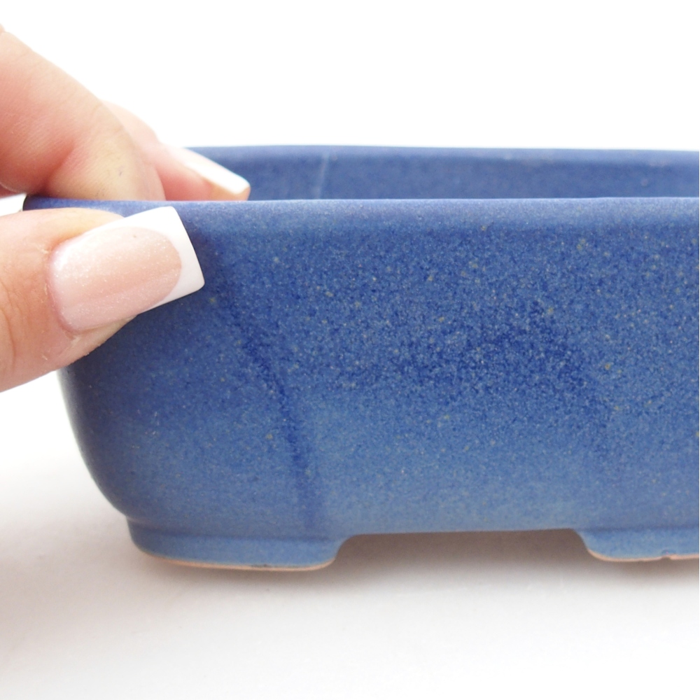 Ciotola per bonsai in ceramica 12,5 x 9,5 x 5 cm, colore blu