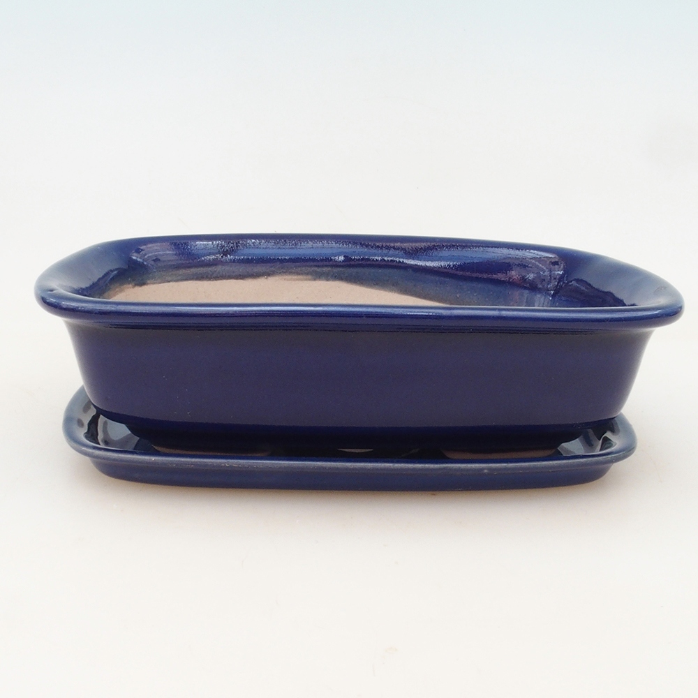 Ciotola bonsai + piattino H02 - blu