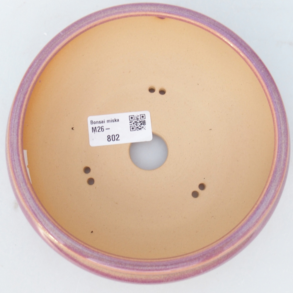 Ciotola per bonsai in ceramica 15 x 15 x 5,5 cm, colore viola