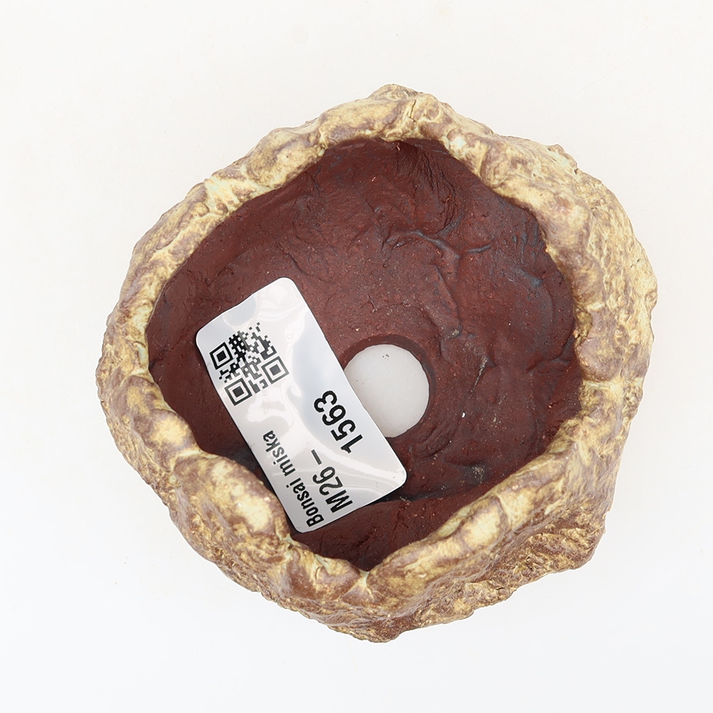 Conchiglia in ceramica  6 x 5 x 5,5 cm, colore marrone
