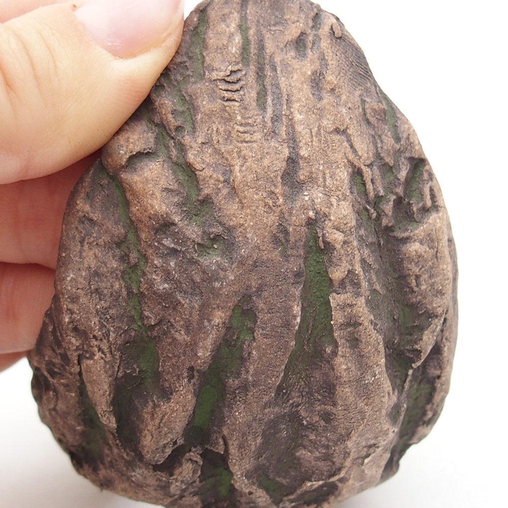 Conchiglia in ceramica 8 x 5,5 x 7 cm , colore verde