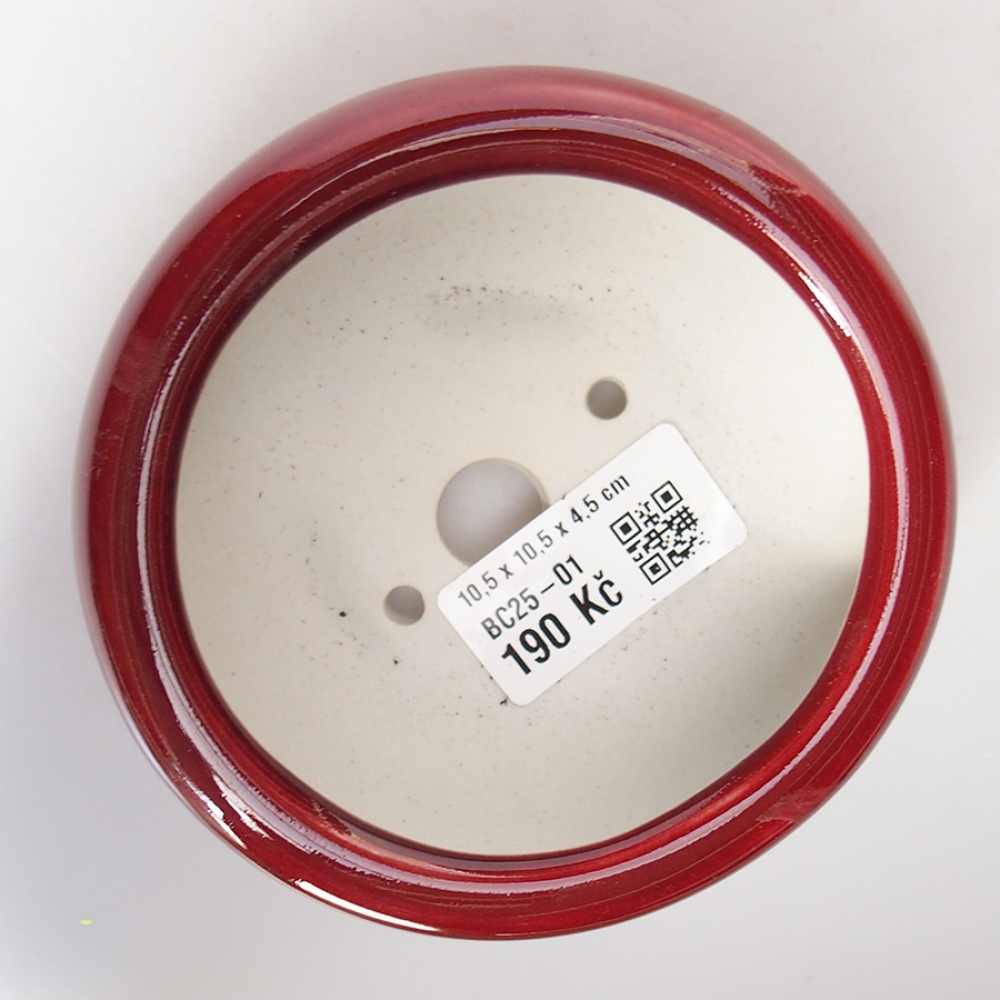Ciotola per bonsai in ceramica 10,5 x 10,5 x 4,5 cm, colore rosso