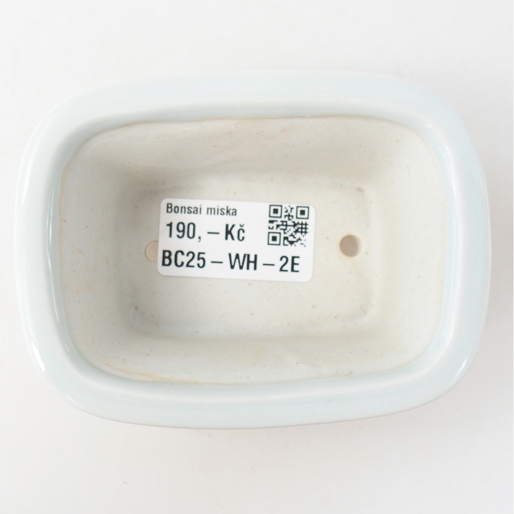 Mini bonsai 10 x 7,5 x 4 cm, colore bianco
