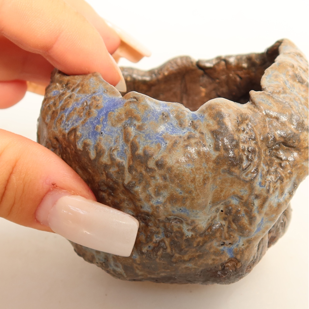 Guscio in ceramica  7 x 7 x 6 cm, colore blu-marrone