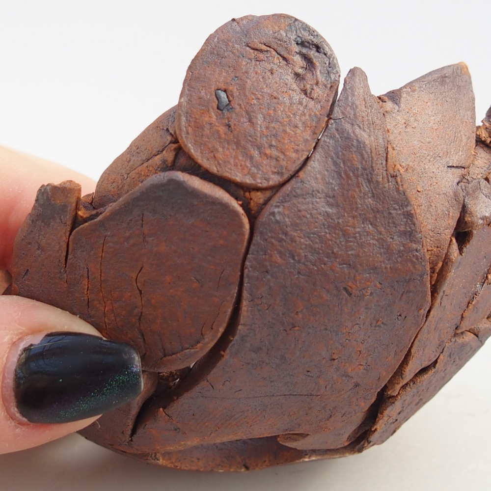 Guscio in ceramica 8,5 x 8,5 x 5,5 cm , colore marrone