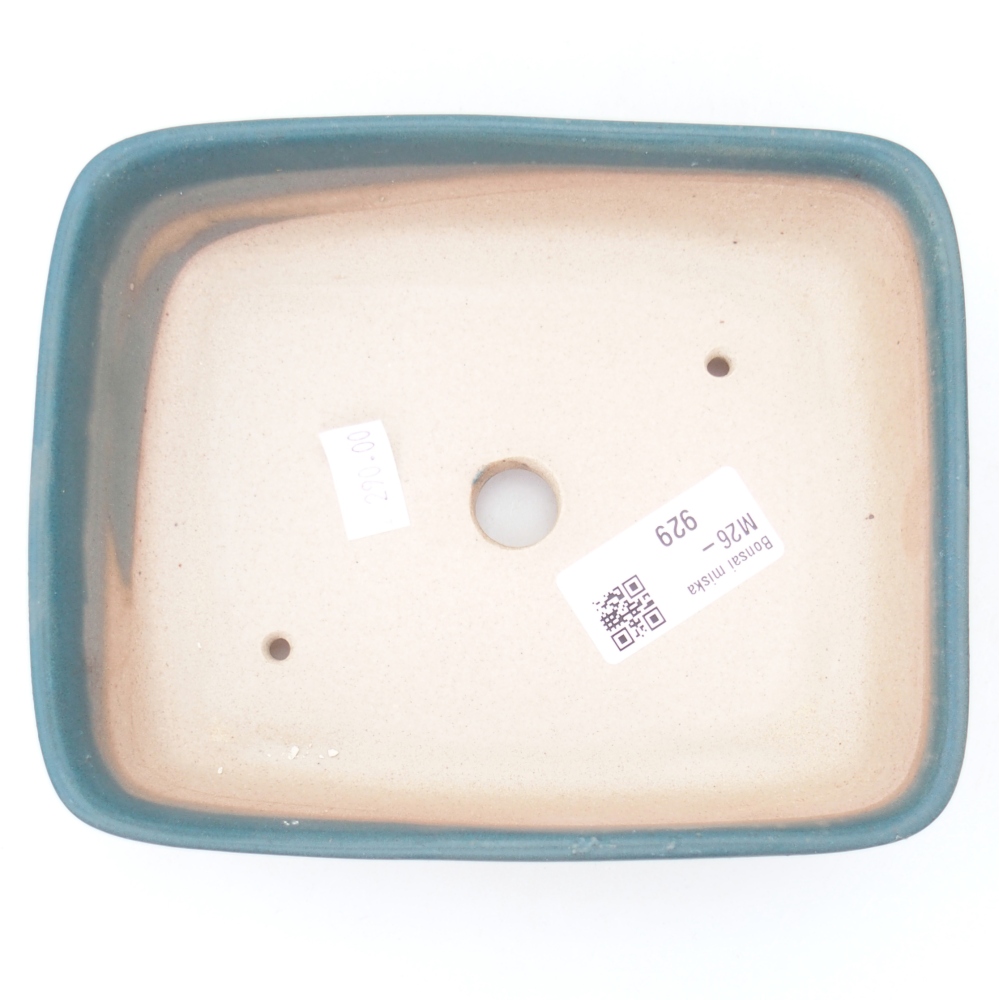 Ciotola per bonsai in ceramica 15 x 12 x 4,5 cm, colore blu