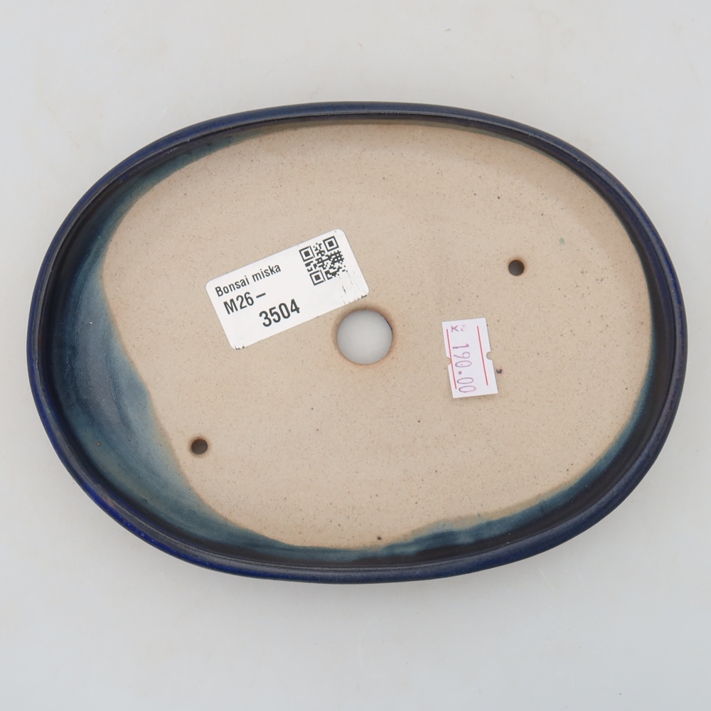 Vaso da bonsai in ceramica 17 x 12 x 2,5 cm, colore blu