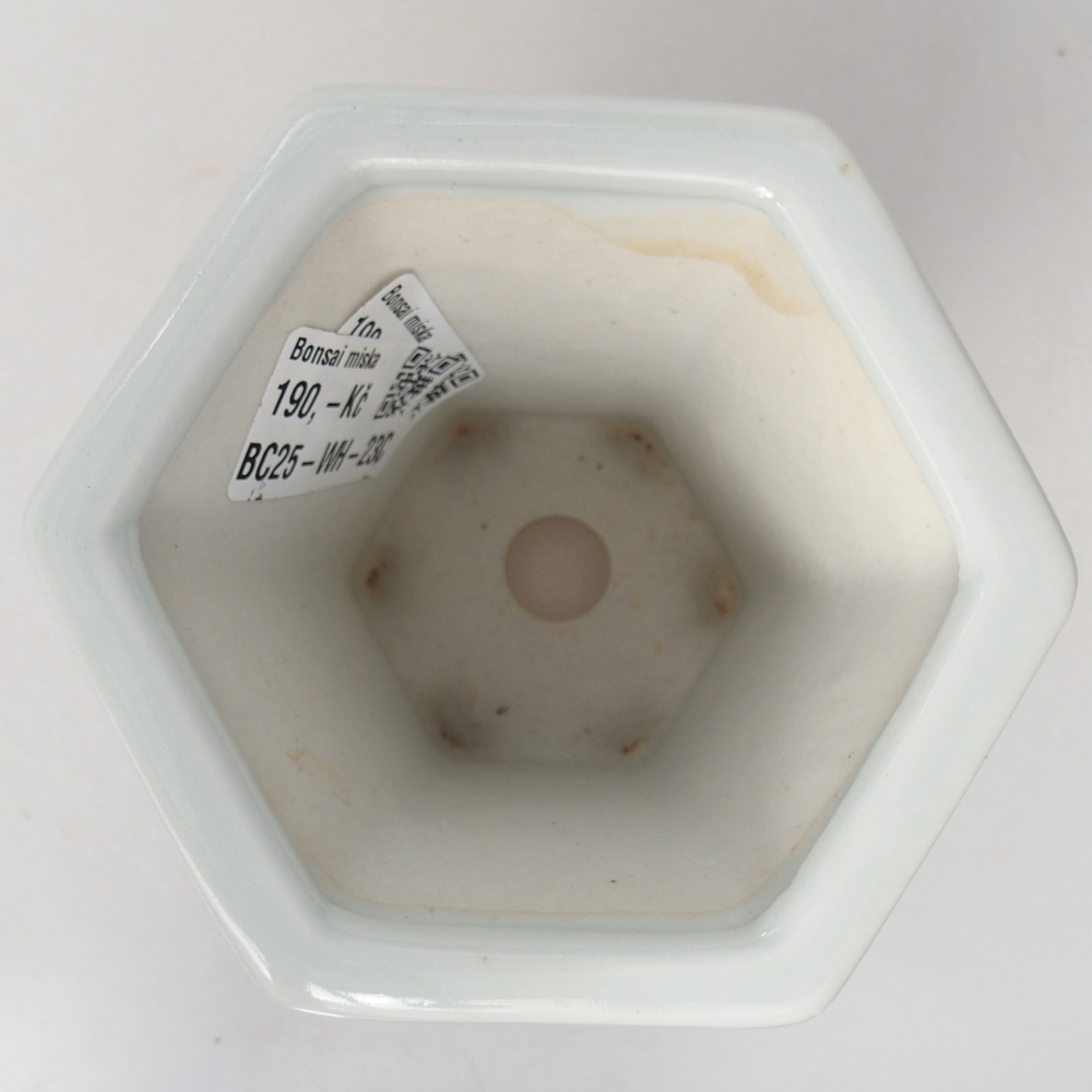 Ciotola per bonsai in ceramica 10 x 9 x 9 cm, colore bianco