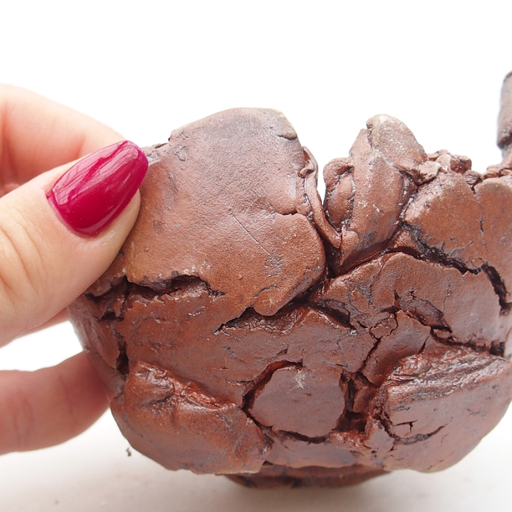 Conchiglia in ceramica 10 x 9 x 7 cm , colore marrone