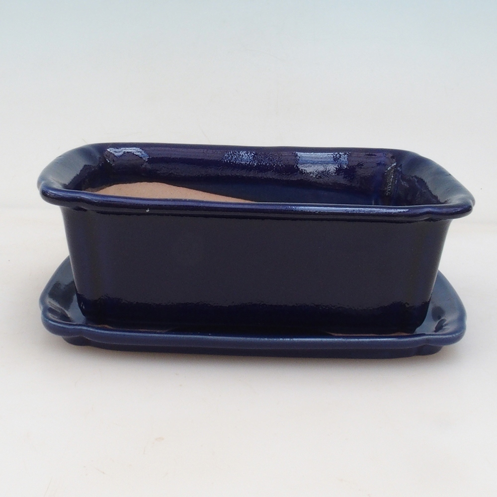 Ciotola bonsai + piattino H50 - blu