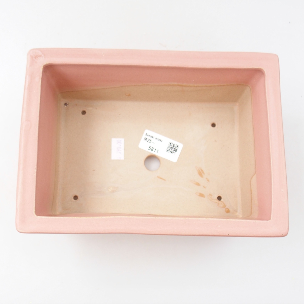 Ciotola bonsai in ceramica 22 x 16 x 8 cm, rosa