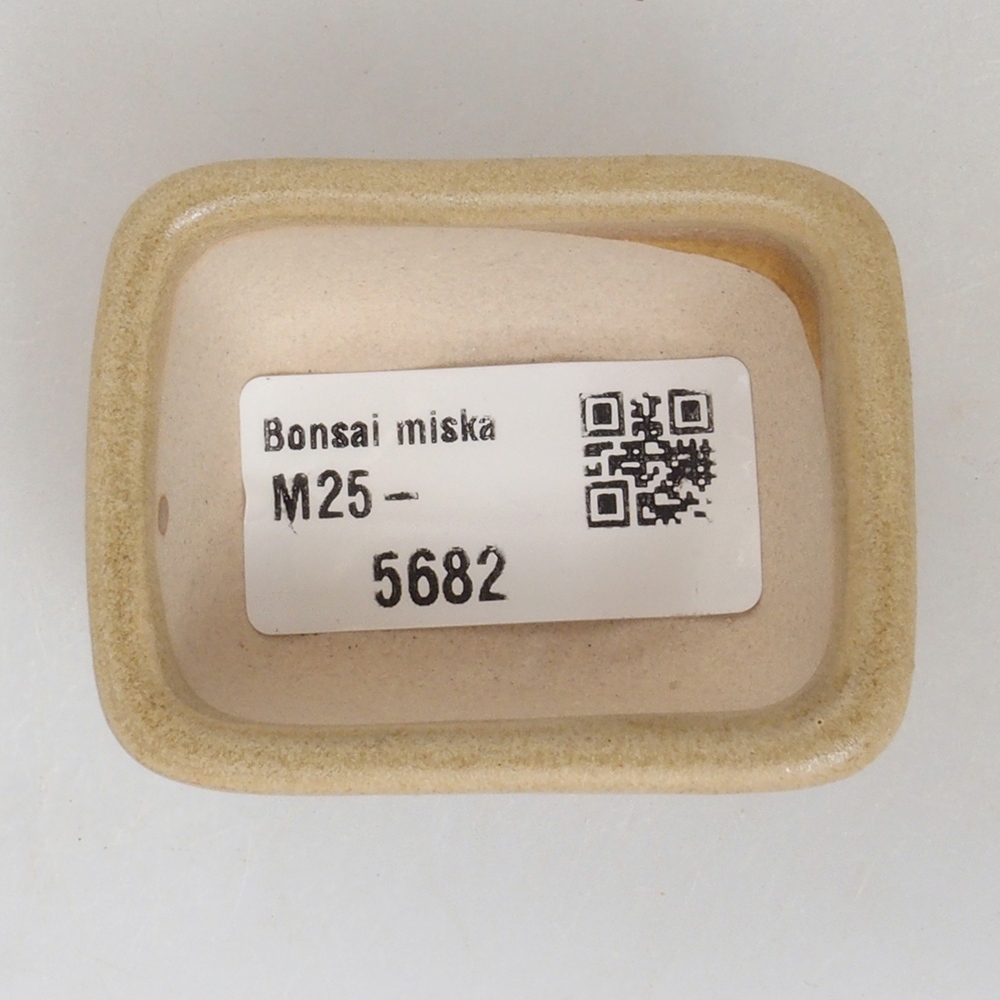 Ciotola per mini bonsai 5,5 x 4,5 x 2,5 cm, marrone