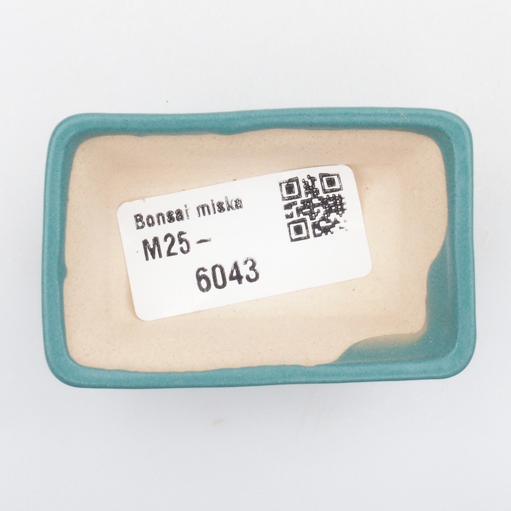 Ciotola bonsai in ceramica 6,5 x 5,5 x 4 cm, colore blu