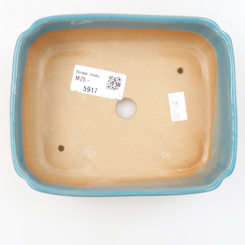 Ciotola bonsai in ceramica 22 x 17 x 5 cm, verde