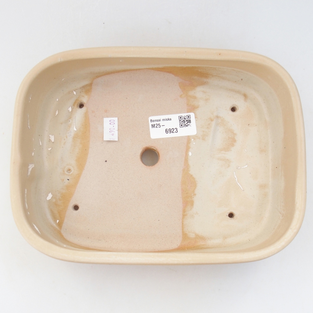 Ciotola bonsai in ceramica 22,5 x 17,5 x 5,5 cm, colore beige