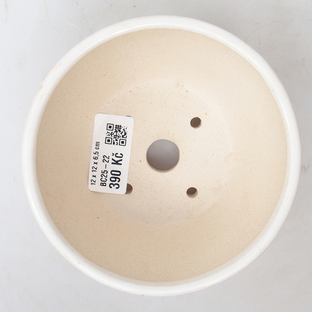 Ciotola per bonsai in ceramica 12 x 12 x 6,5 cm, colore bianco