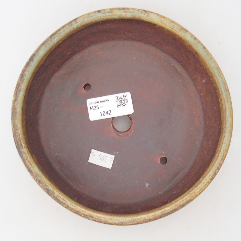 Ciotola per bonsai in ceramica 17,5 x 17,5 x 5 cm, verde