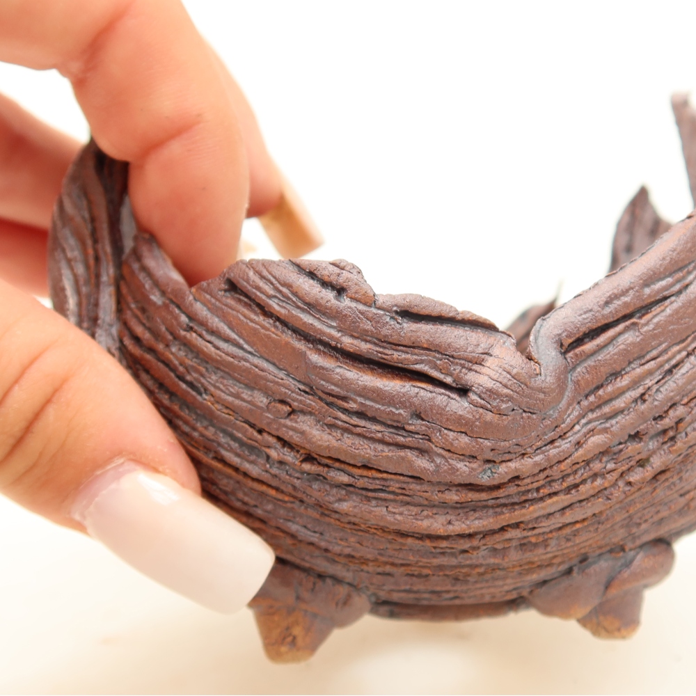 Guscio in ceramica  9,5 x 8,5 x 8 cm, colore marrone