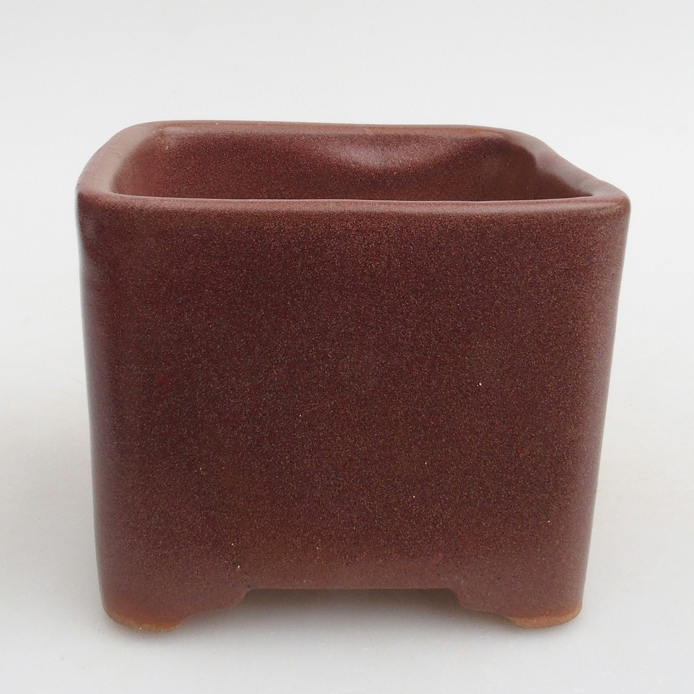 Ciotola per bonsai in ceramica 10 x 10 x 8 cm, marrone