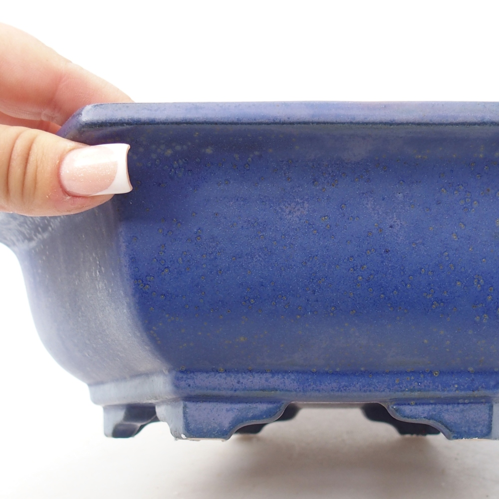 Ciotola bonsai in ceramica 24 x 21 x 7,5 cm, colore blu