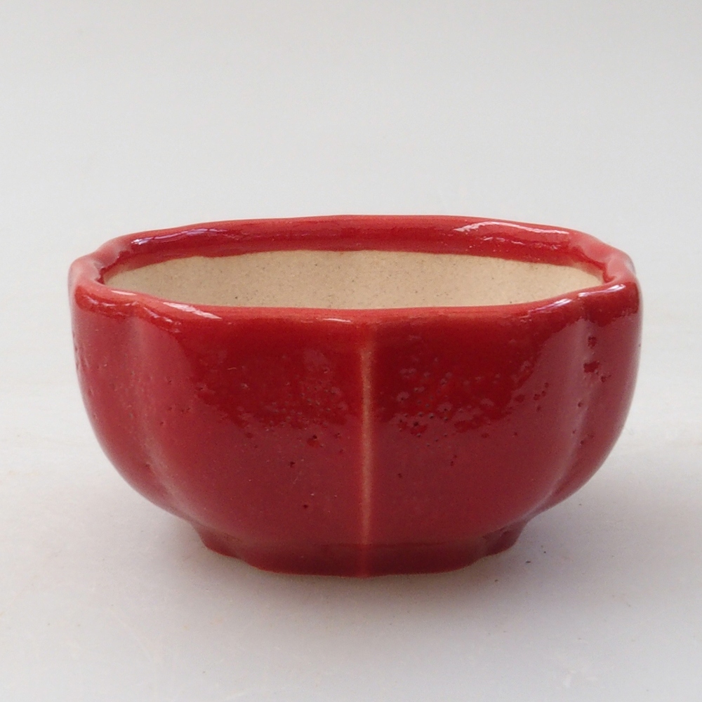 Mini bonsai 6 x 5,5 x 2,5 cm, colore rosso