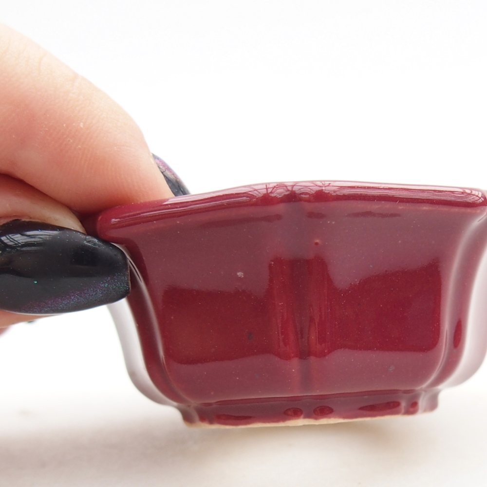 Mini bonsai 6 x 6 x 2,5 cm, bordeaux