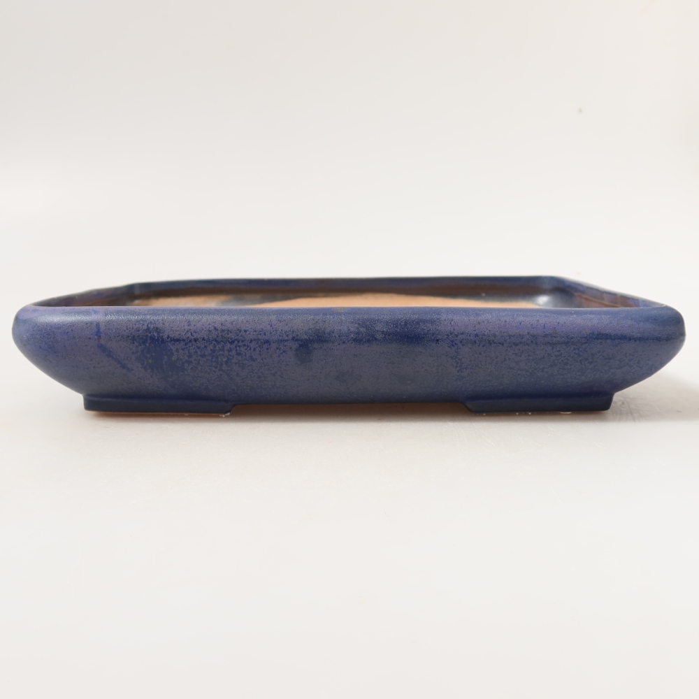 Vaso da bonsai in ceramica 24 x 17,5 x 4 cm, colore blu