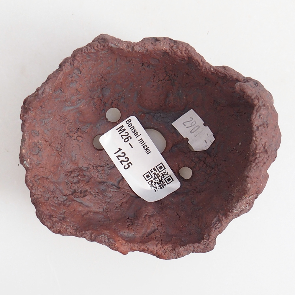 Conchiglia in ceramica 9 x 7,5 x 9 cm , colore marrone