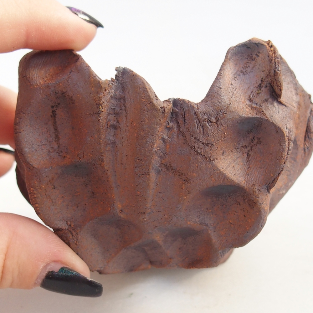 Conchiglia in ceramica 9 x 9 x 6,5 cm , colore marrone