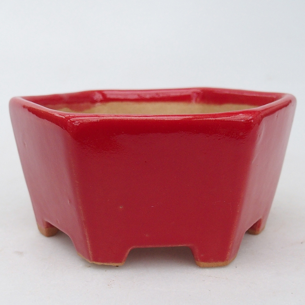 Ciotola per bonsai in ceramica 10,5 x 9,5 x 5 cm, colore rosso