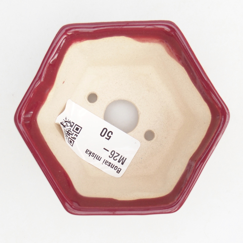 Ciotola per mini bonsai 8 x 7 x 4 cm, bordeaux