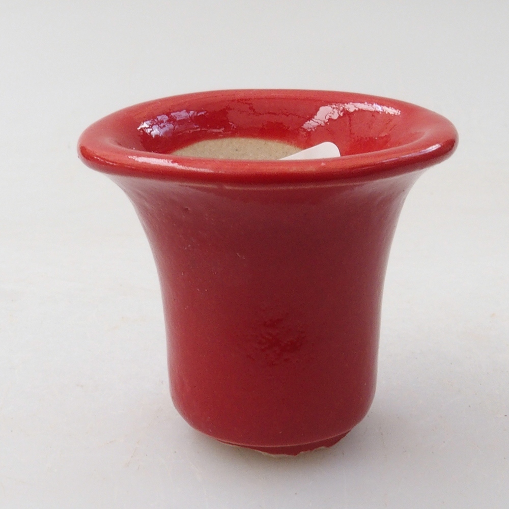 Mini bonsai 4 x 4 x 4 cm, colore rosso