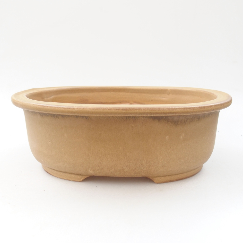 Ciotola bonsai in ceramica 23,5 x 19 x 8 cm, rosa