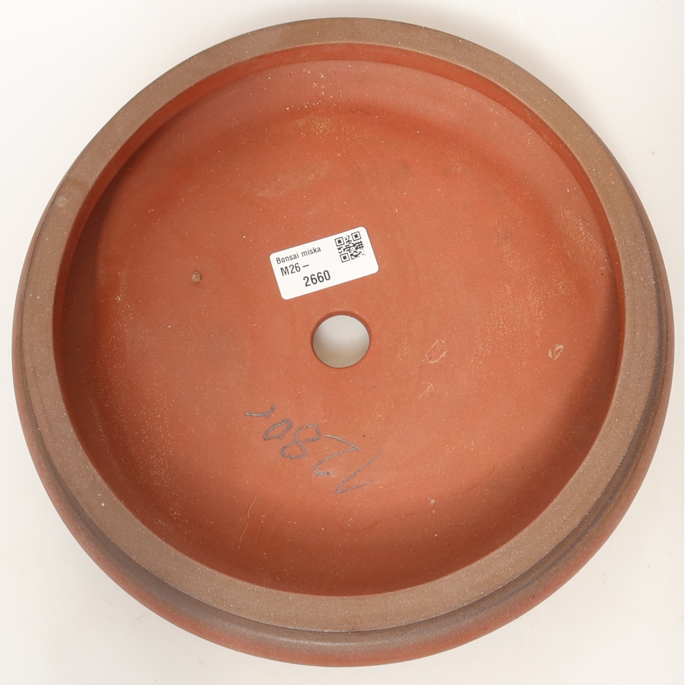 Conchiglia in ceramica  22,5 x 22,5 x 6 cm, colore mattone