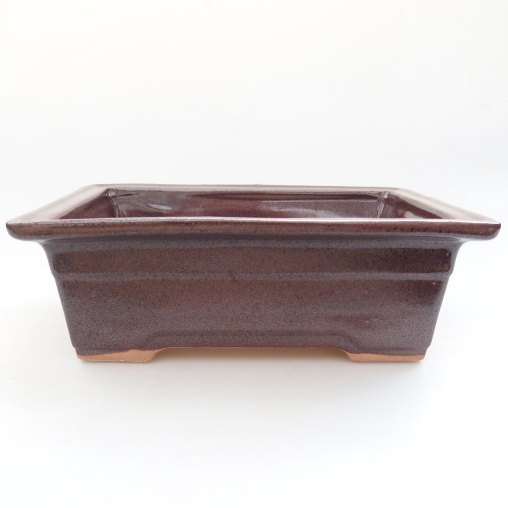 Ciotola bonsai in ceramica 22 x 17 x 5 cm, verde