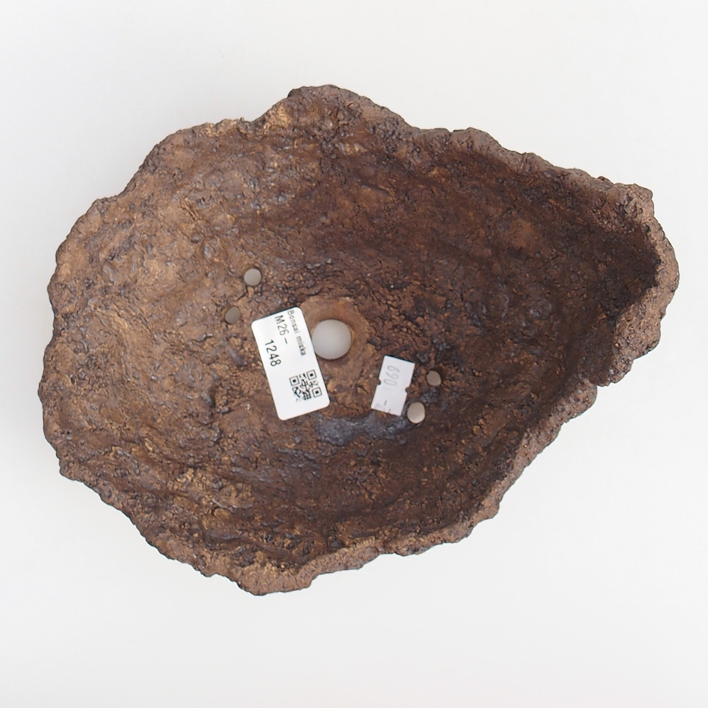 Conchiglia in ceramica 19 x 15 x 14 cm , colore marrone