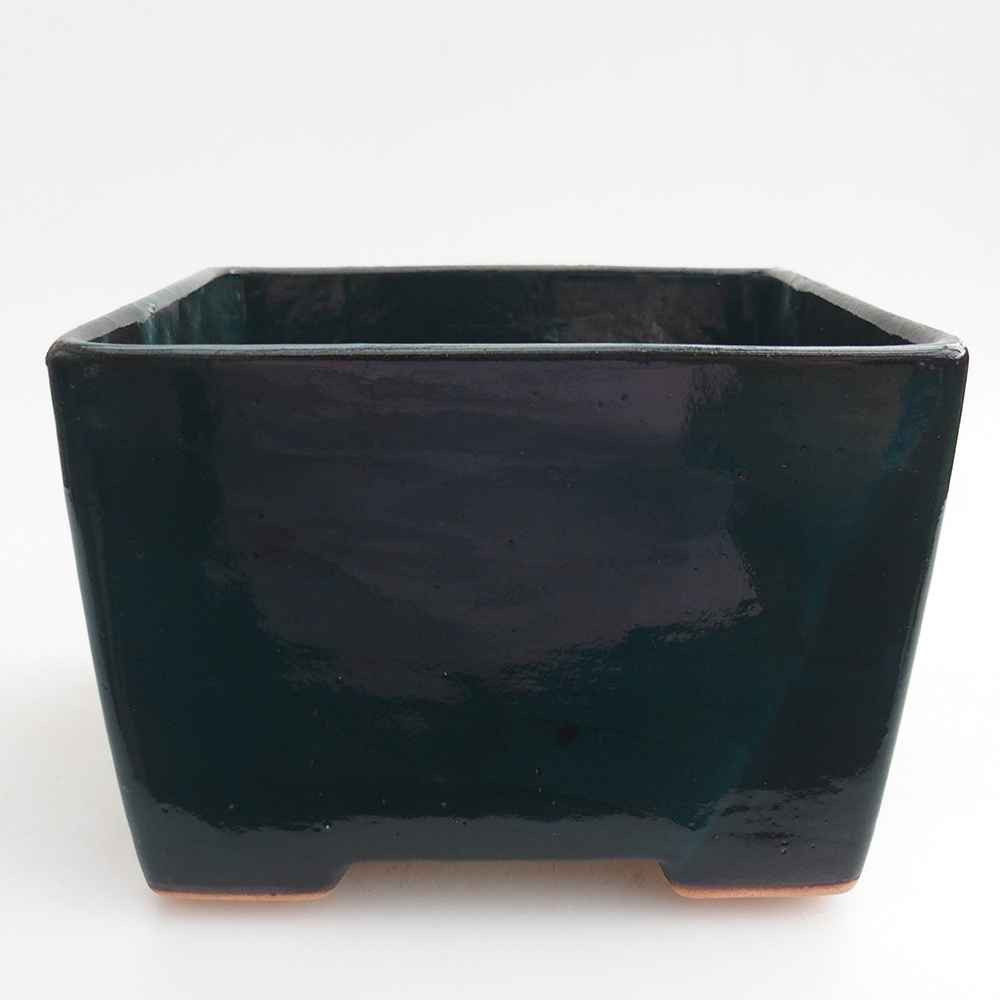 Ciotola per bonsai in ceramica 15 x 15 x 10,5 cm, verde